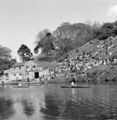 Old photo with terraces