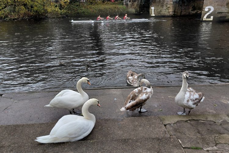 Durham hosts LDS finale and Autumn Small Boats Head