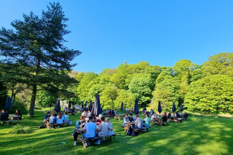 Beer Garden set to reopen