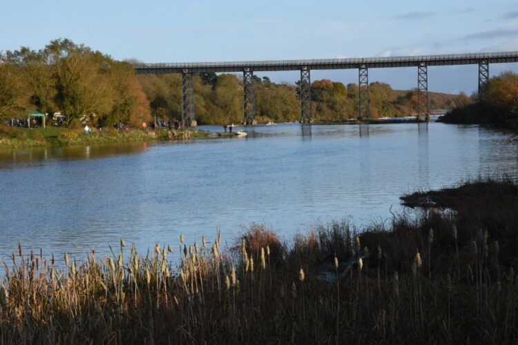 Early finish for Sculling Series