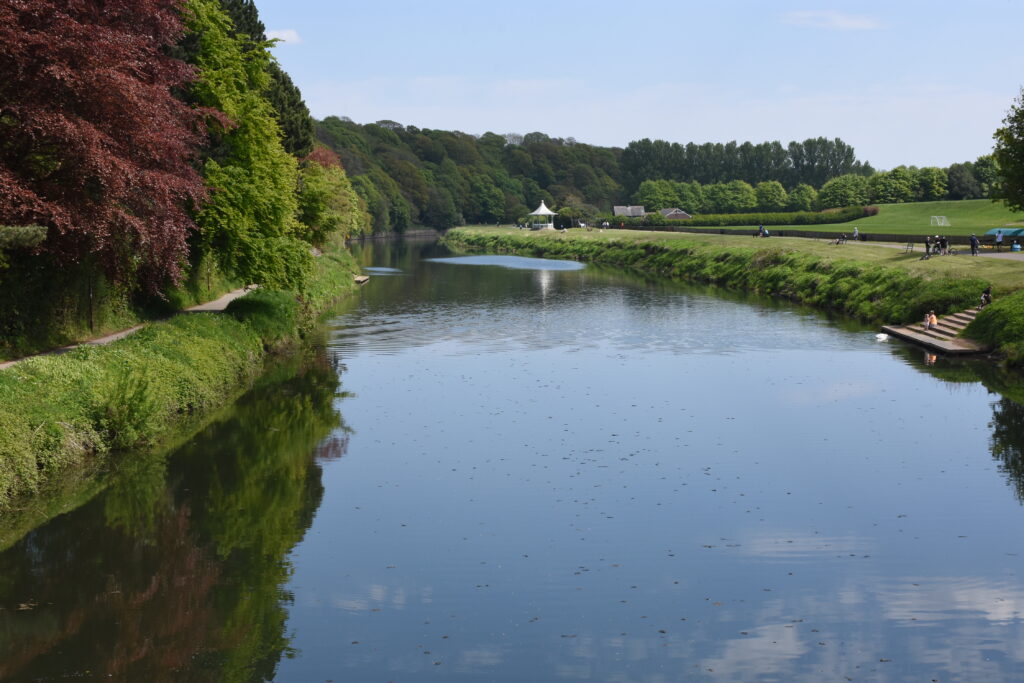 River Wear in May 2020