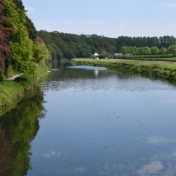 River Wear in May 2020